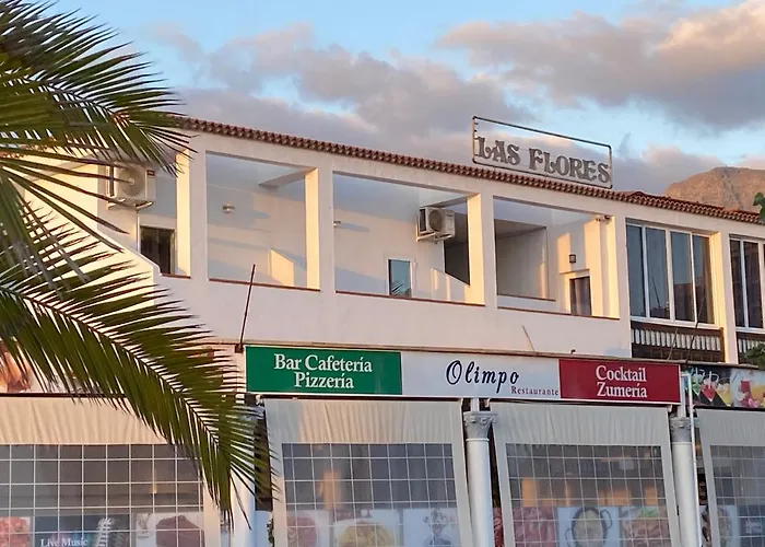 Flores 4 * Playa de las Americas (Tenerife)